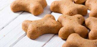 Biscotti per cani: pronti in pochissimi minuti, farai felice il tuo ciucciolo di casa!