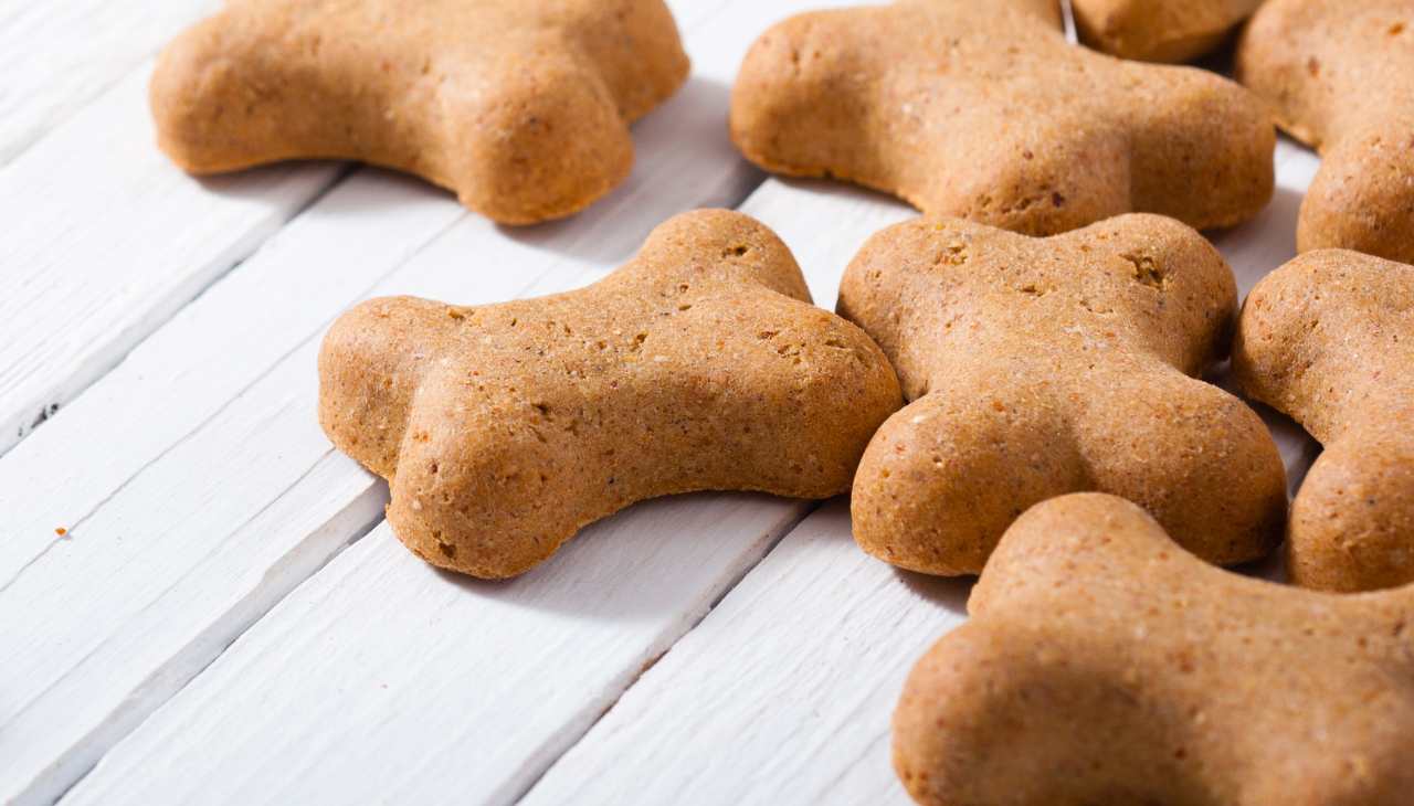 Biscotti per cani: pronti in pochissimi minuti, farai felice il tuo  ciucciolo di casa! 