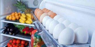 frigorifero come conservare il cibo batteri