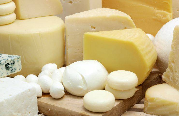 Diversi tipi di formaggi