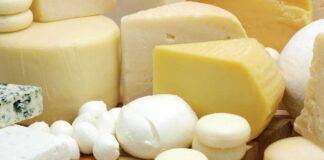 formaggi con meno grassi più salutari quali sono