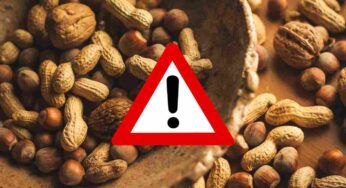 Frutta secca, non solo benefici: occhio a queste controindicazioni