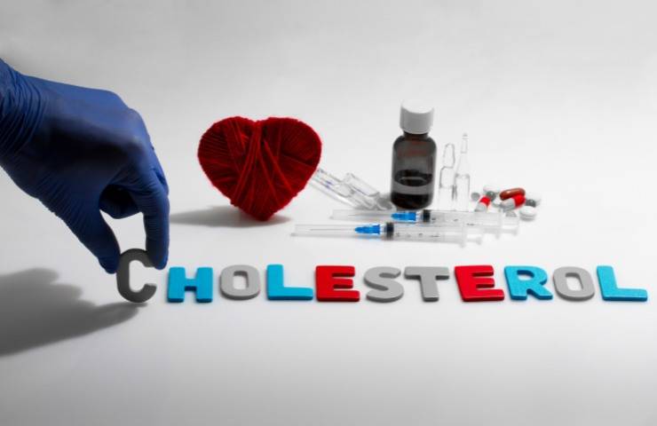 Una rappresentazione della presenza di colesterolo