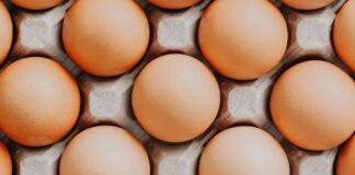 come pastorizzare le uova metodo sicuro procedura