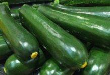 zucchine