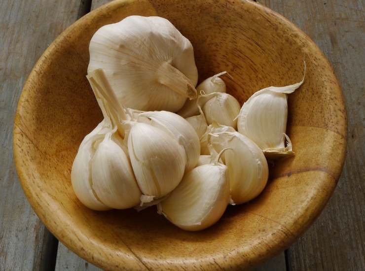 Spaghetti alla giovannino: la semplicità in tavola si chiama così! Foto di Ricetta Sprint