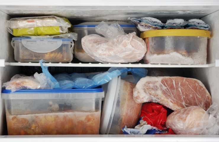 Del cibo in congelatore
