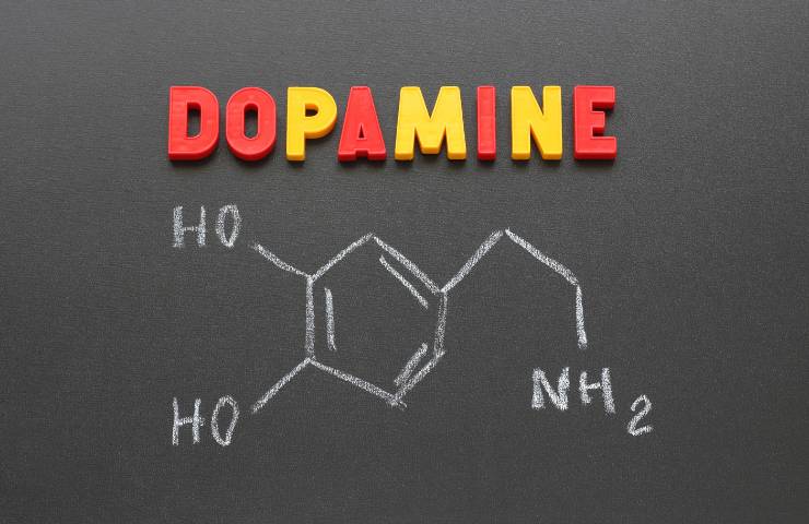 La scritta Dopamina in inglese