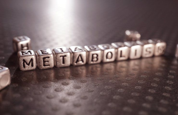La scritta Metabolismo