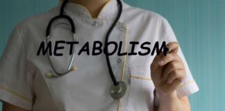 metabolismo lento dieta come attivarlo cosa mangiare