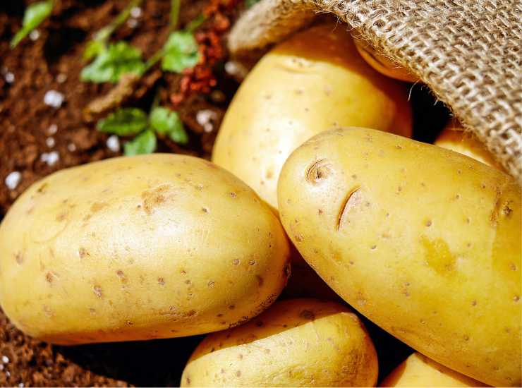 Unisci le patate con le zucchine, e puoi preparare questa cena da pochissime calorie! Foto di Ricetta Sprint