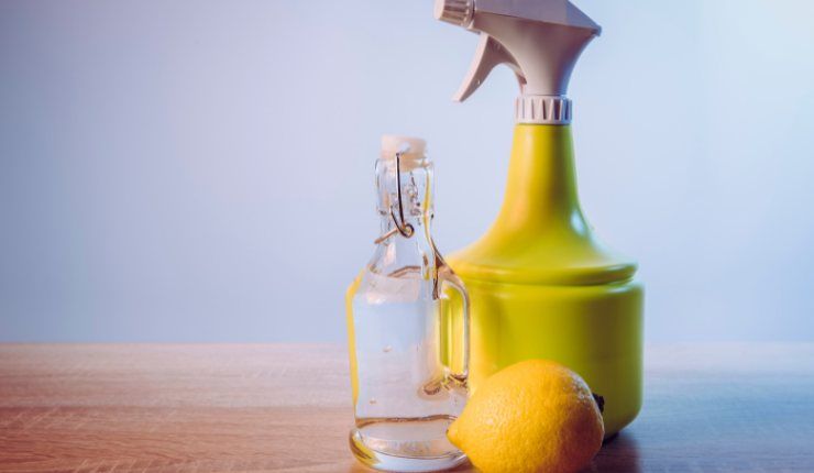 Aceto e limone per pulire lavastoviglie Ricettasprint