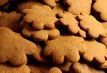 Biscotti senza uova e burro allo zenzero