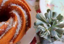 Ciambelline di cannella e cocco senza impasto