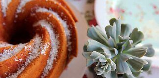 Ciambelline di cannella e cocco senza impasto