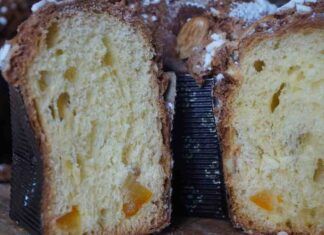 Colomba all'avena 31032023 ricetta sprint