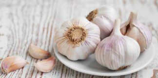 Conserva così l'aglio e si manterrà sempre fresco!