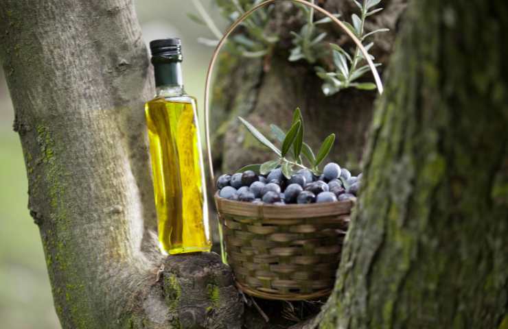 Some olives and a bottle of extra virgin olive oil