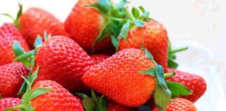 fragole proprietà nutrizionale perché fanno bene