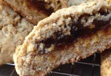 Grisbi vegani un morso e te ne innamori e sono pure leggeri, pazzesco! Grisbi vegani