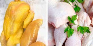 pollo bianco e pollo giallo differenze perché frumento cosa mangiano