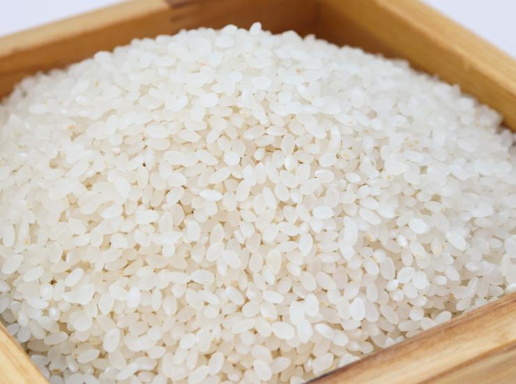 Sformato di riso in padella: ti sbrighi, risparmi e fai un figurone! Foto di Ricetta Sprint
