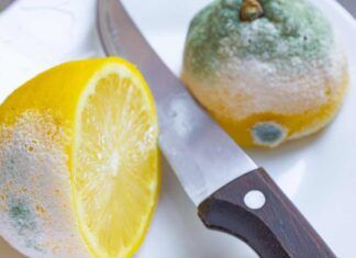 Ti ritrovi sempre con i limoni ammuffiti Li hai sempre conservati nel modo sbagliato!