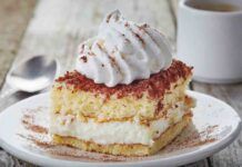 Tiramisù alla panna montata non serve caffè! Questo si che è un dolce speciale!