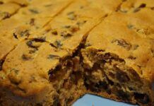 Torta integrale allo yogurt con canditi e uva passa