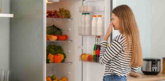 come si eliminano i cattivi odori dal frigo rimedi metodi