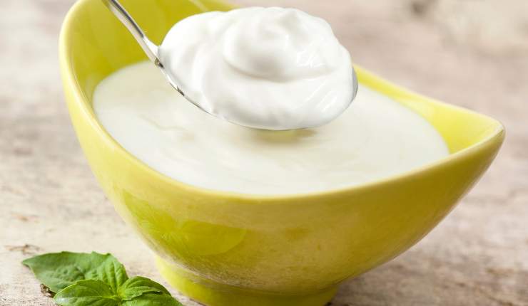 Ciambellone bicolore allo yogurt irresistibile già al primo morso Ricettasprint
