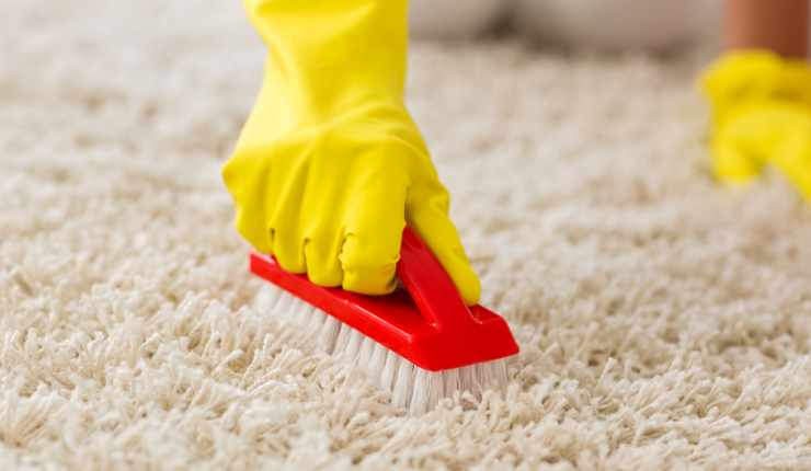 Come pulire i tappeti di casa non servono detergenti!