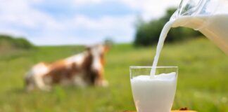 latte fresco e a lunga conservazione differenze