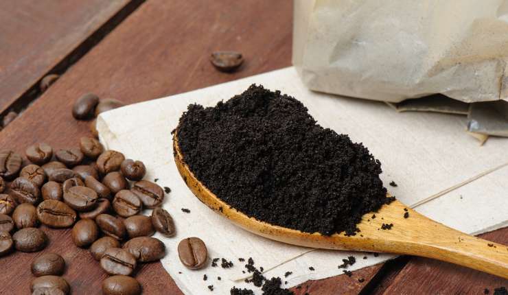 Fondi del caffè per eliminare i cattivi odori in frigo Ricettasprint