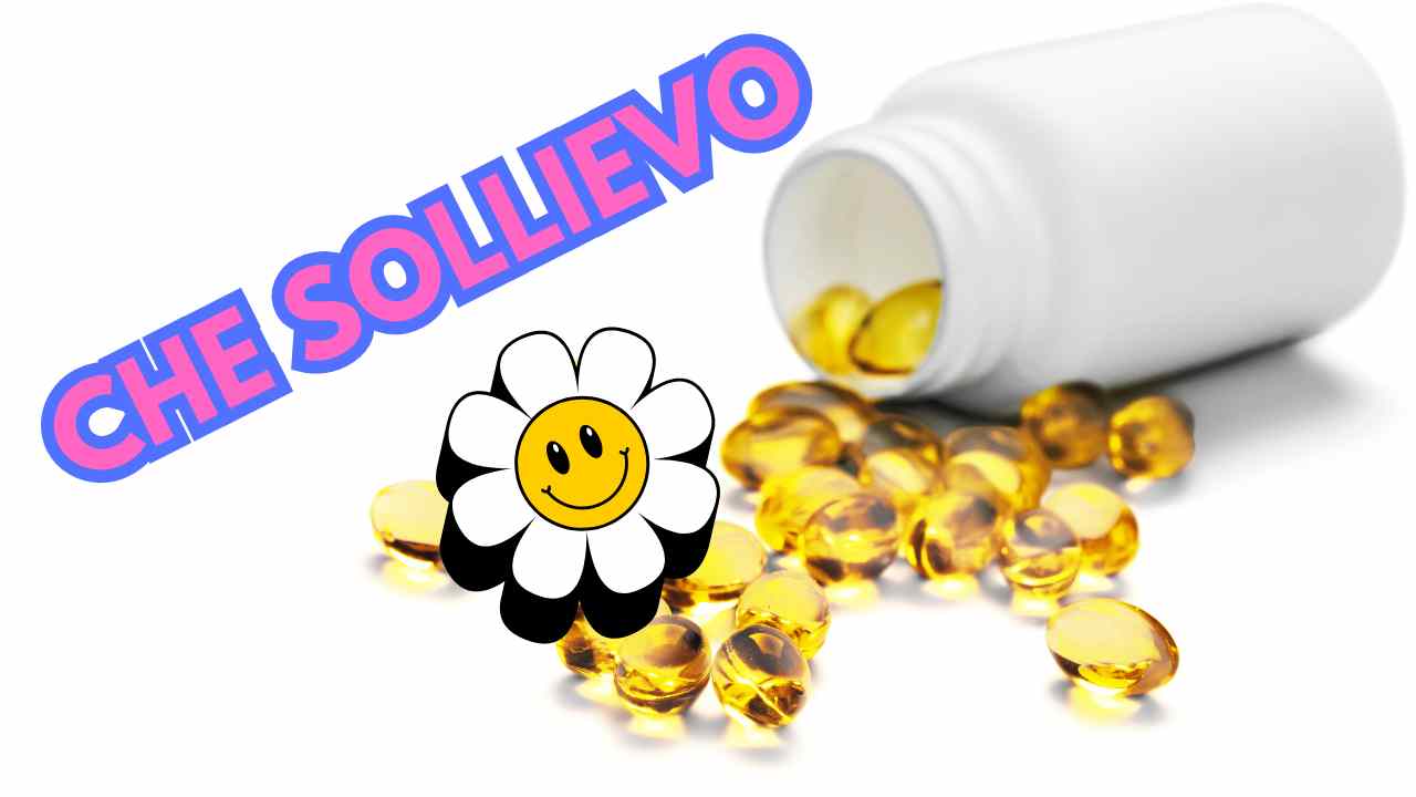 Glucomannan |  Eftersom det får dig att gå ner i vikt |  Det nya bantningstillskottet |  Farväl förstoppning