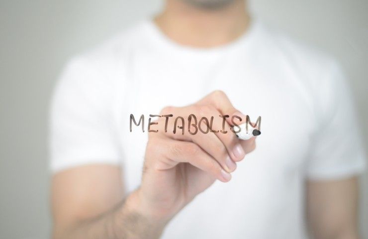 La scritta Metabolismo in inglese