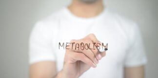 velocizzare il metabolismo come fare abitudini
