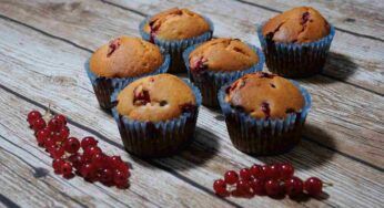 Muffin vegan al ribes, ricetta vegana senza uova, del tutto vegetale e con poche calorie