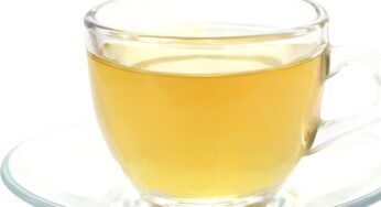La tisana alla betulla: depurati così, e arriverai alla prova costume bellissima!