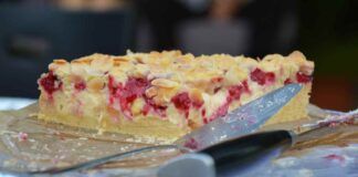 Torta cremosa sprint 28042023 ricetta sprint