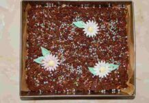 Torta sprint di cioccolato e riso soffiato 06042023 ricettasprint