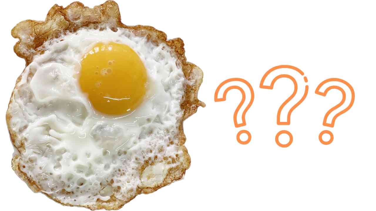 ¿Qué es mejor la yema o la albúmina?  que es mas sano comer
