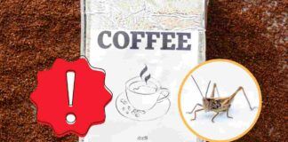 insetti nel caffè farina di grilli marca