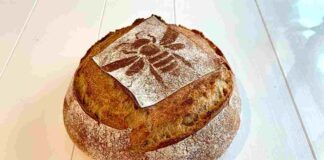 pane casareccio al miele 13042023 ricettasprint