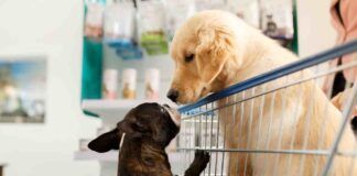 Nessun divieto all'ingresso di animali domestici al supermercato