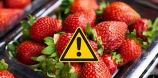 Quali fragole contengono più pesticidi