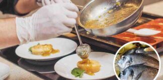Chef stellato sperma di pesce - RicettaSprint