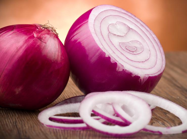 Insalata di ceci subito pronta: fresca, gustosa e vitaminica, mangi bene e dimagrisci. Foto di Ricetta Sprint