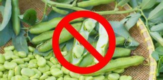 sintomi del favismo cosa non mangiare come intervenire