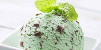 Gelato menta e cioccolato: cremoso e rinfrescante, nessuno sa dirgli di no!